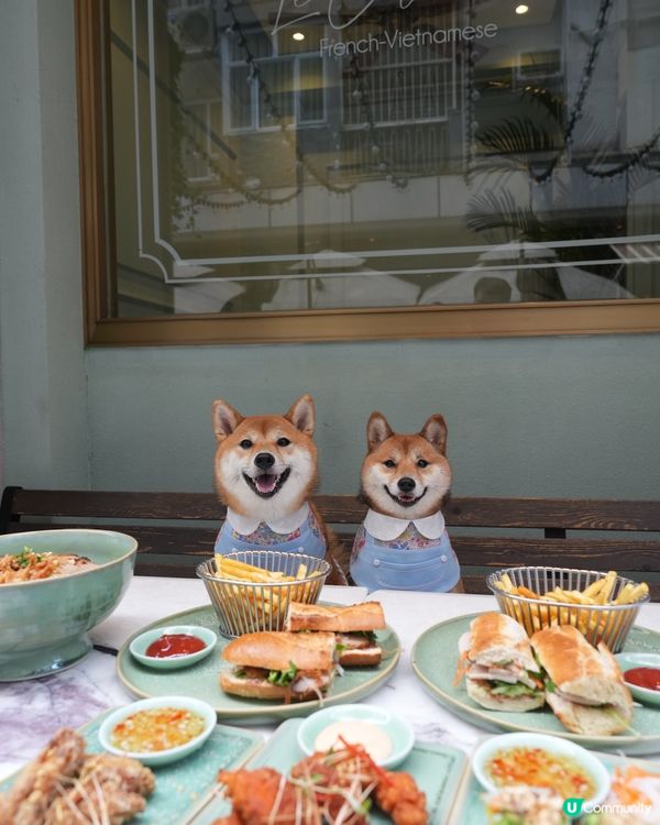超靚嘅越南菜餐廳💜寵物友善‼️