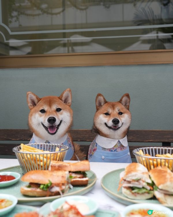 超靚嘅越南菜餐廳💜寵物友善‼️