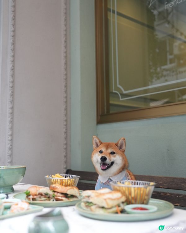 超靚嘅越南菜餐廳💜寵物友善‼️