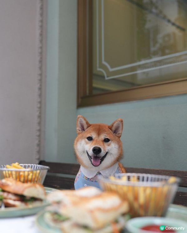 超靚嘅越南菜餐廳💜寵物友善‼️