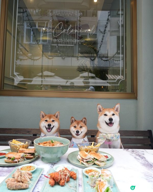 超靚嘅越南菜餐廳💜寵物友善‼️