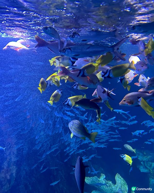 長隆飛船樂園及酒店3日2夜親子遊