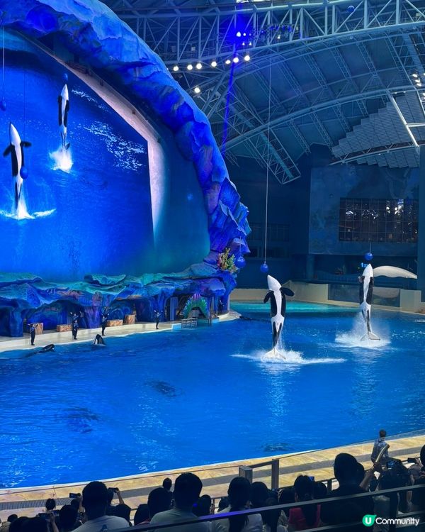 長隆飛船樂園及酒店3日2夜親子遊