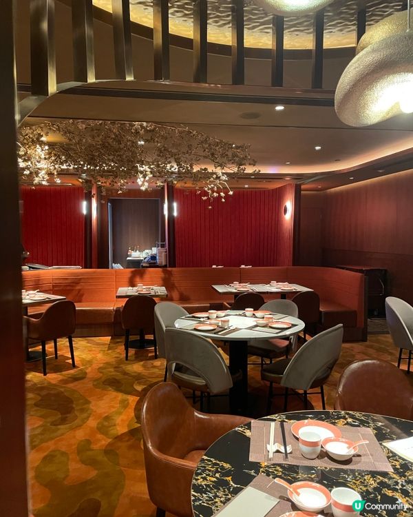 尖沙咀新開高級中菜餐廳 🥢 金技玉葉，裝修靚到爆！🤩