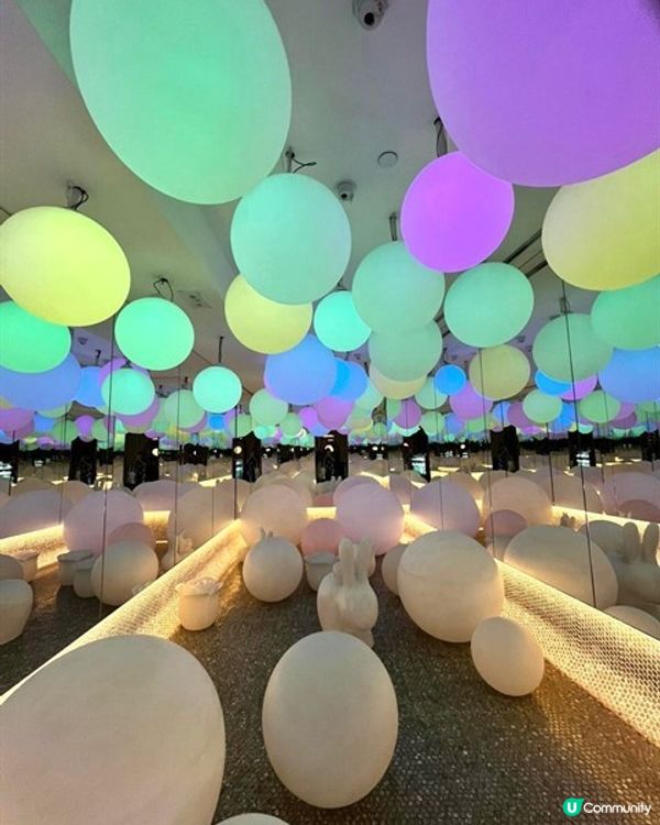 🍀誘人花膠雞鍋│香江花月 (佐敦)