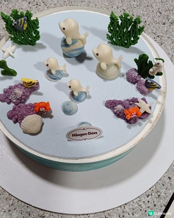 Häagen-Dazs™ 雪糕蛋糕