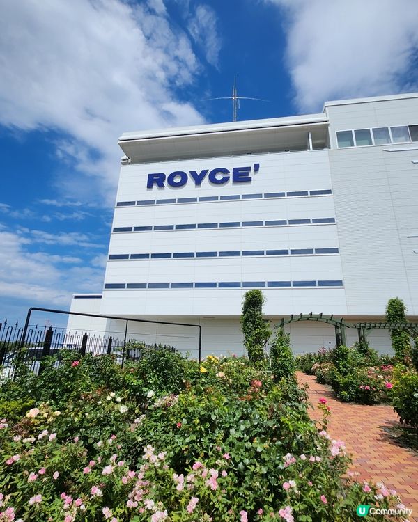 極具人氣品牌「ROYCE」 朱古力特飲👍💕
