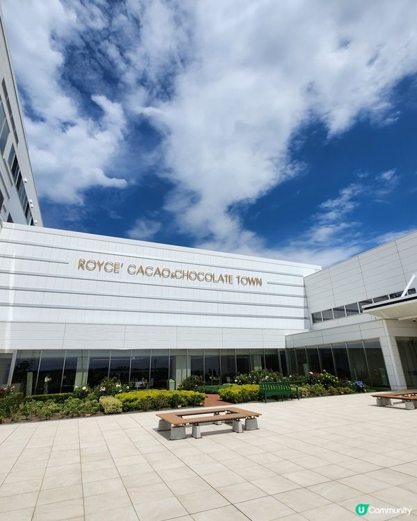 極具人氣品牌「ROYCE」 朱古力特飲👍💕