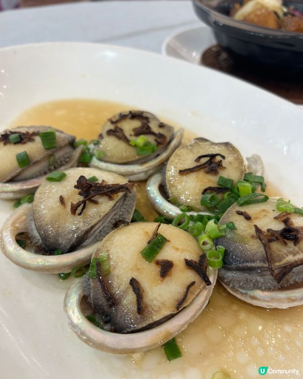 港晶軒嘆海鮮 🦞  抵食又好味 😋