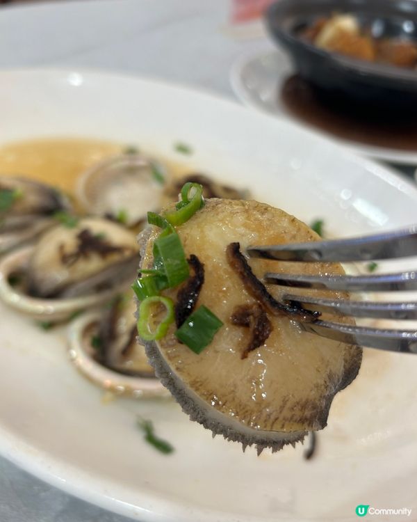 港晶軒嘆海鮮 🦞  抵食又好味 😋