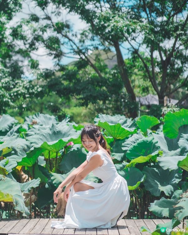 我很喜歡的相片,想同大家分享☺️