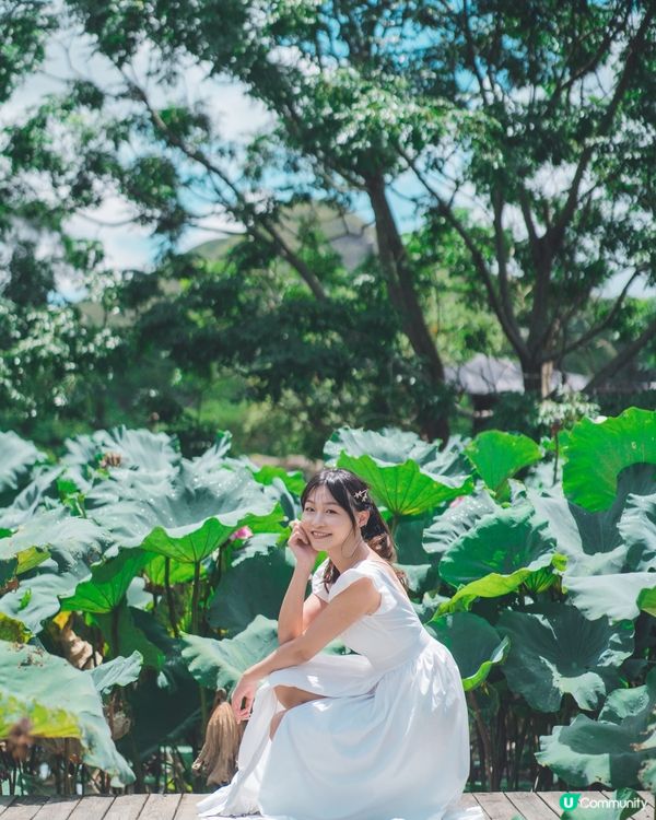 我很喜歡的相片,想同大家分享☺️