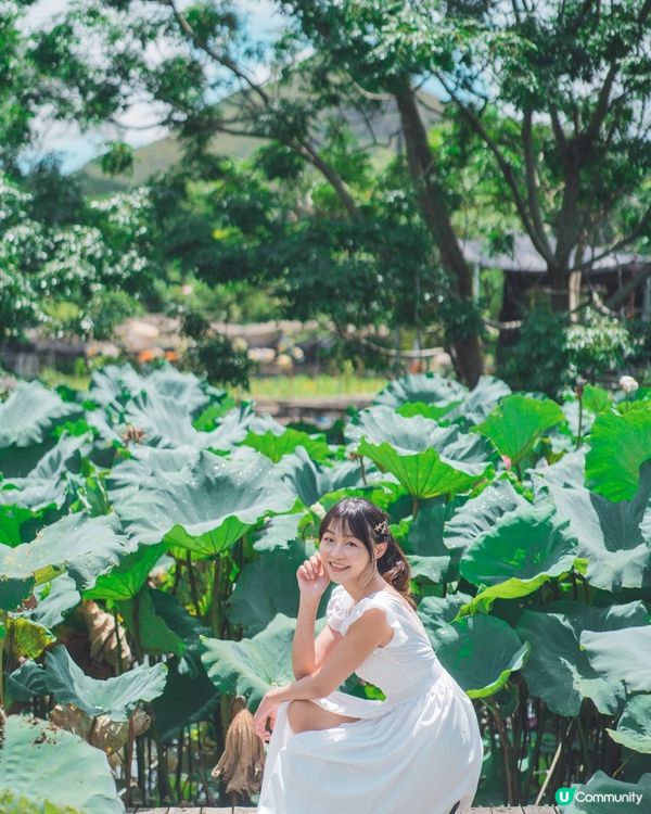 我很喜歡的相片,想同大家分享☺️