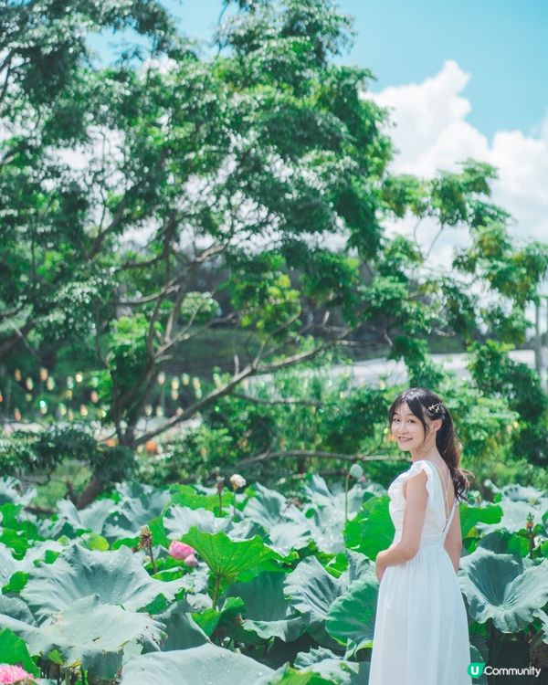 我很喜歡的相片,想同大家分享☺️