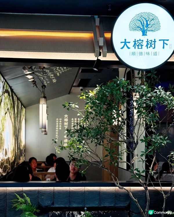 🔥 超級多客! 超高質順德菜