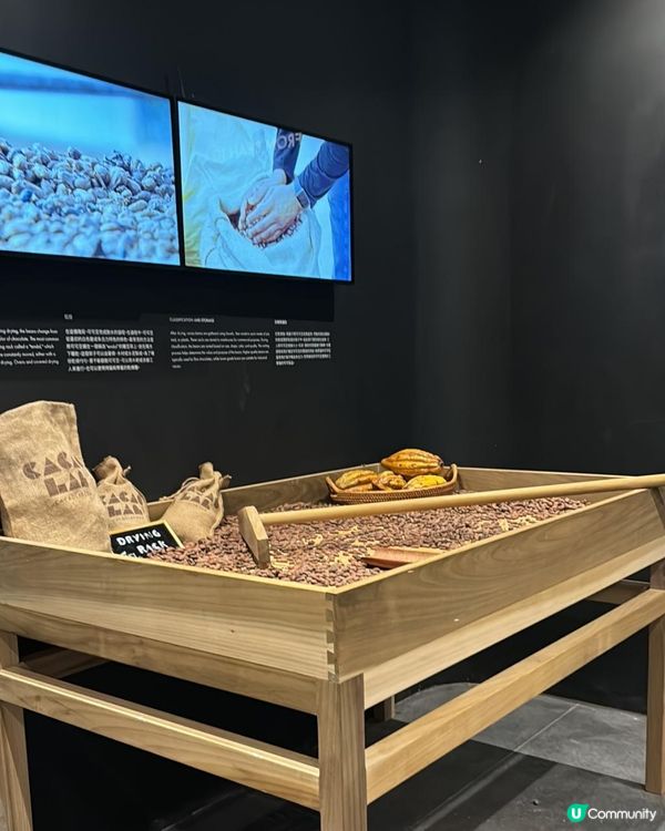 今站係白沙道既Cacao Lab