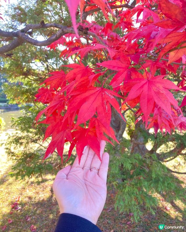 🗺️《開始plan吓》秋日日落美景 🎌 函館·五稜郭塔🗼