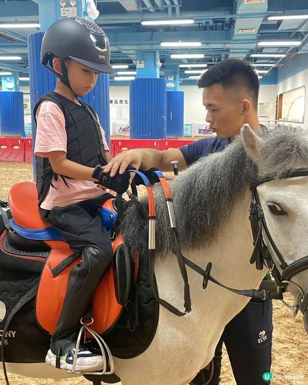 “馭”見不同，“騎”樂無窮