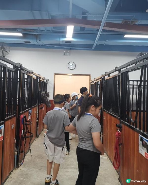 “馭”見不同，“騎”樂無窮