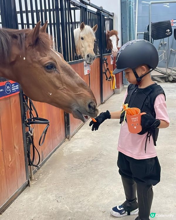 “馭”見不同，“騎”樂無窮