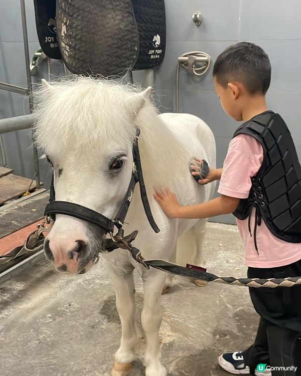 “馭”見不同，“騎”樂無窮