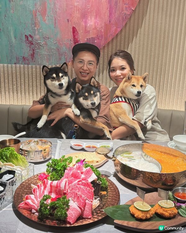 泰式邊爐新店試食😋 冬陰功椰奶雙併鍋正到爆！