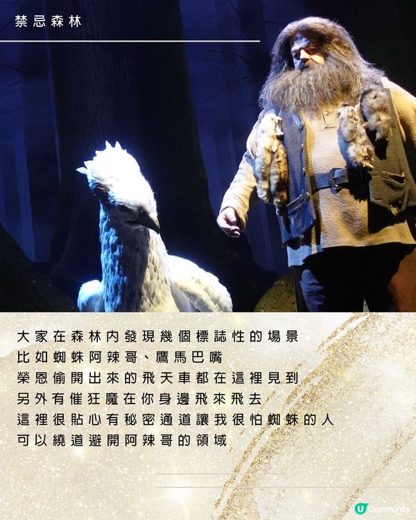 東京哈利波特影城影城10個亮點/攻略/懶人包