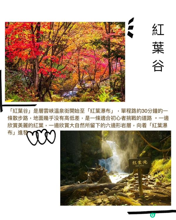 日本最早的紅葉～層雲峽✨期間限定燈飾互動裝置‼️