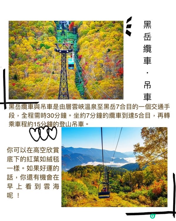 日本最早的紅葉～層雲峽✨期間限定燈飾互動裝置‼️