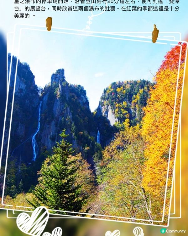 日本最早的紅葉～層雲峽✨期間限定燈飾互動裝置‼️