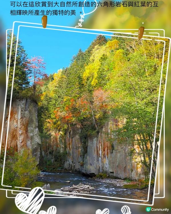 日本最早的紅葉～層雲峽✨期間限定燈飾互動裝置‼️