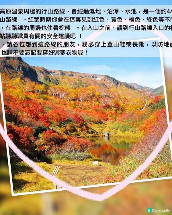 日本最早的紅葉～層雲峽✨期間限定燈飾互動裝置‼️