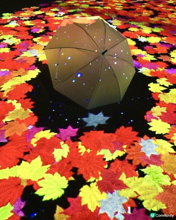 日本最早的紅葉～層雲峽✨期間限定燈飾互動裝置‼️