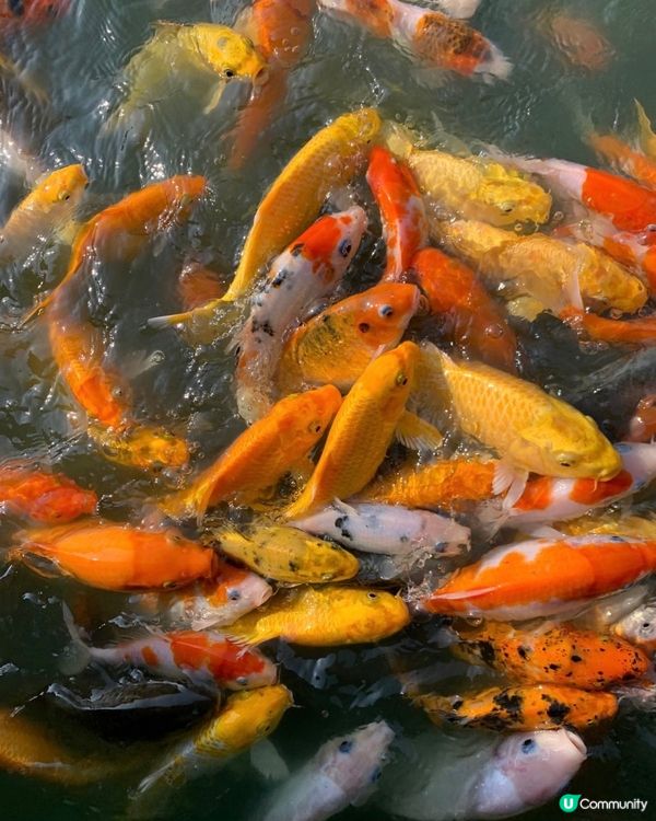 曼谷近郊網紅打卡餐廳