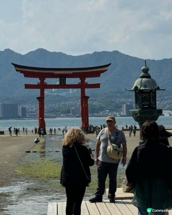 日本廣島牡蠣🦪part 2