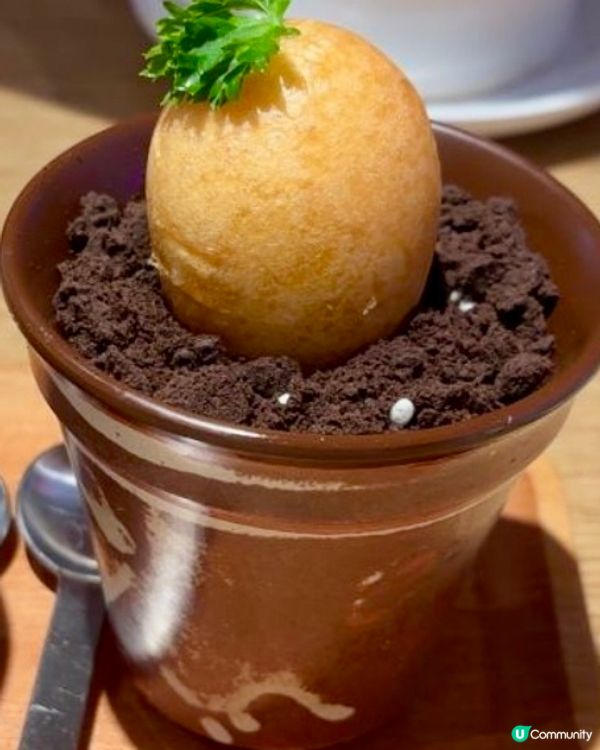 茶樓特色點心推介·新潮又好味😋