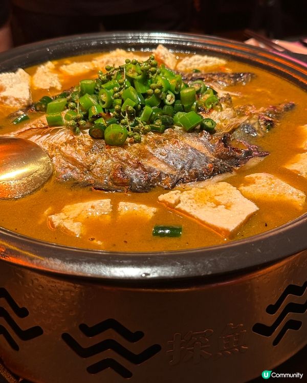 深圳美食|探店食青椒探魚