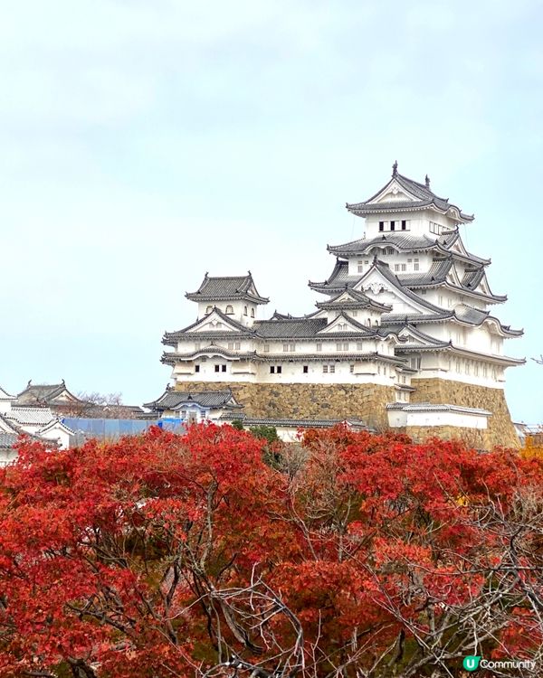 🗺️《日本國寶級之首》🍁秋祭 姬路城🏯及好古園🎋