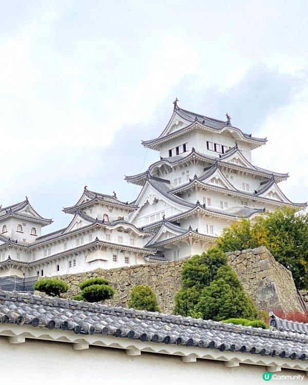 🗺️《日本國寶級之首》🍁秋祭 姬路城🏯及好古園🎋