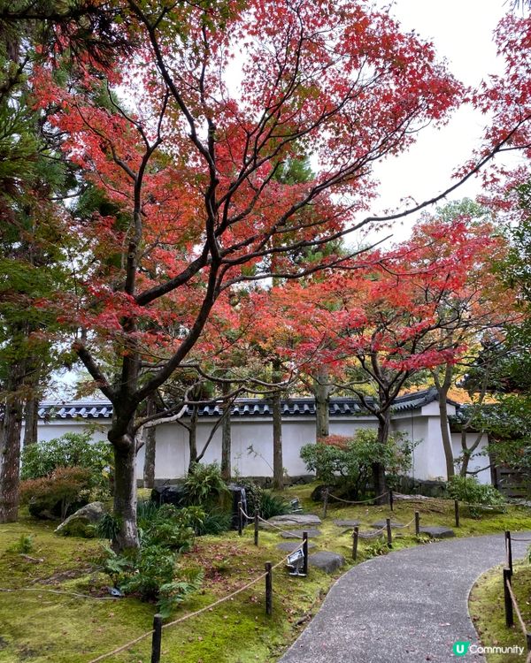 🗺️《日本國寶級之首》🍁秋祭 姬路城🏯及好古園🎋