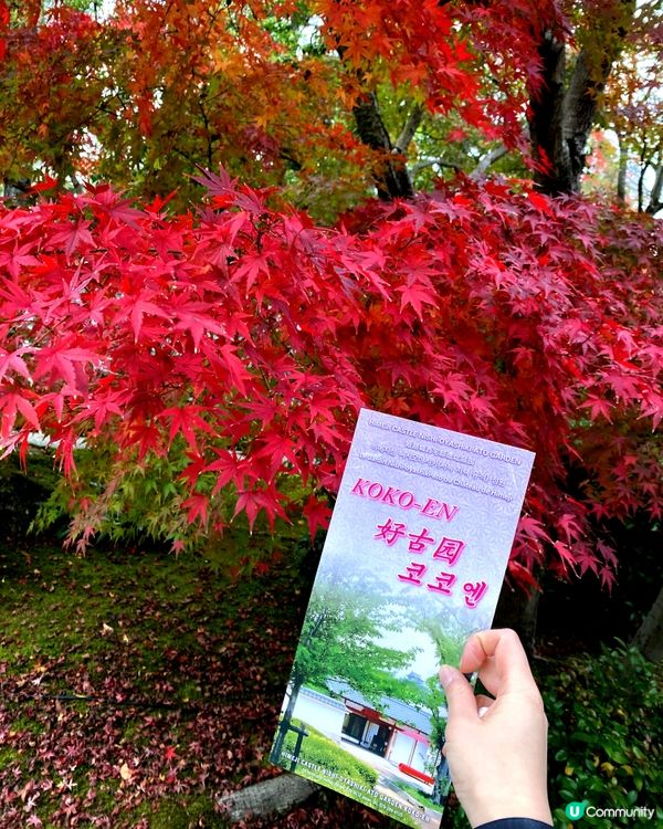 🗺️《日本國寶級之首》🍁秋祭 姬路城🏯及好古園🎋