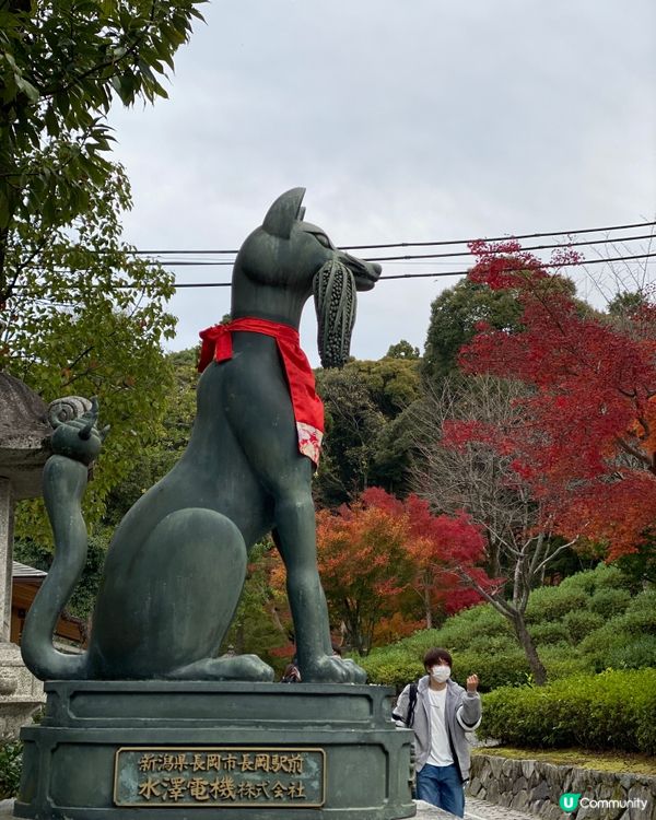 ⛩️《最貼近日本人生活的神社》🎌伏見稻荷神社⛩️
