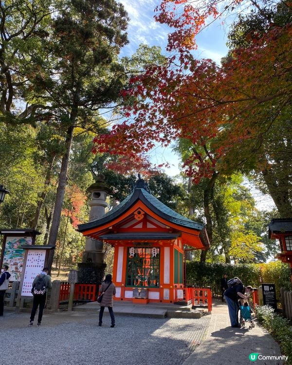 ⛩️《最貼近日本人生活的神社》🎌伏見稻荷神社⛩️