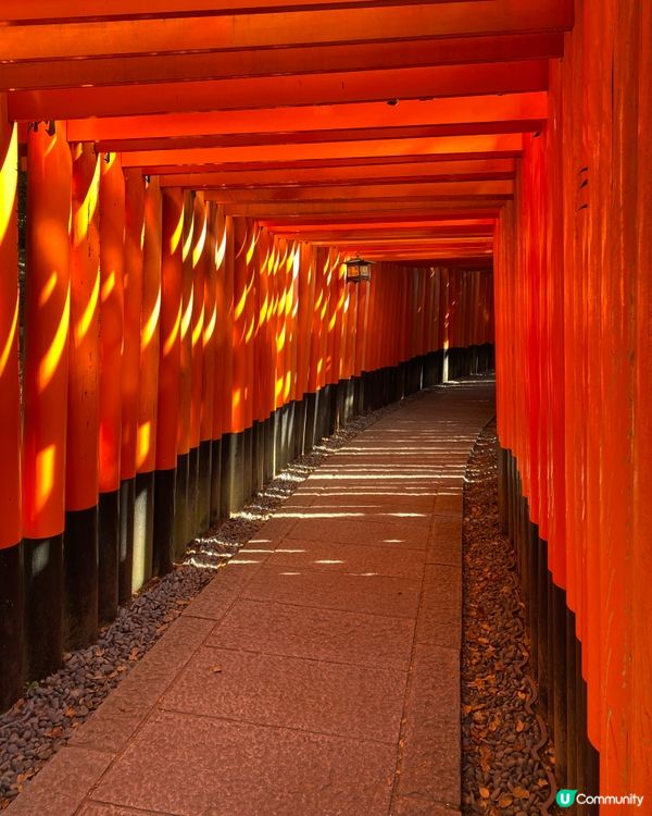⛩️《最貼近日本人生活的神社》🎌伏見稻荷神社⛩️