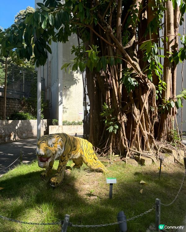 參觀虎豹別墅😍 1935年胡文虎打造嘅大坑半山豪宅