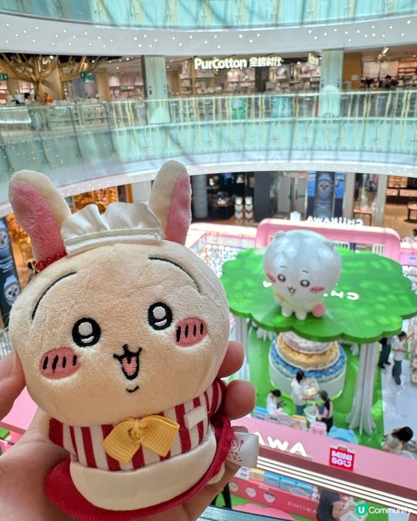 ✨深圳Miniso X Chiikawa POPUP ✨