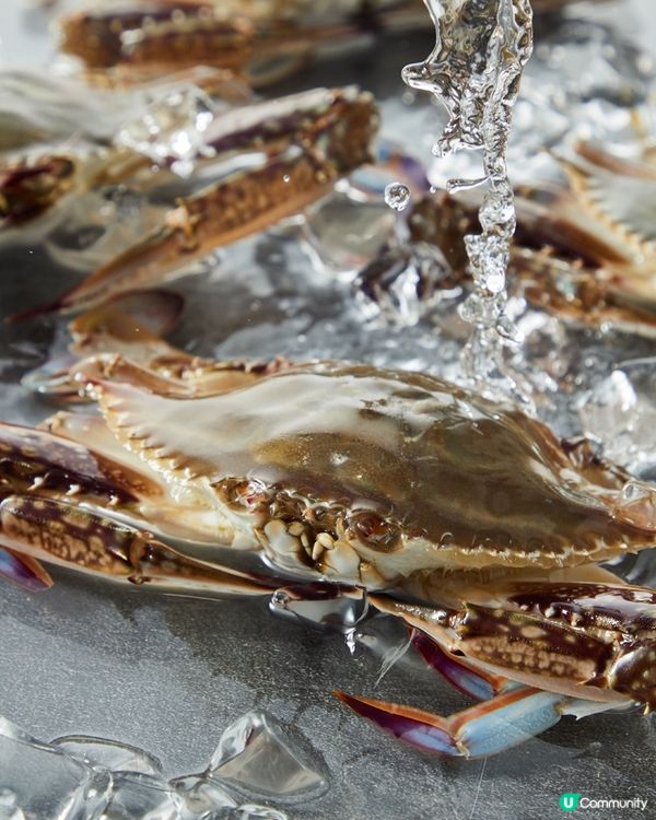 八月上新啦！週末逛盒馬看到這些請趕緊拿下