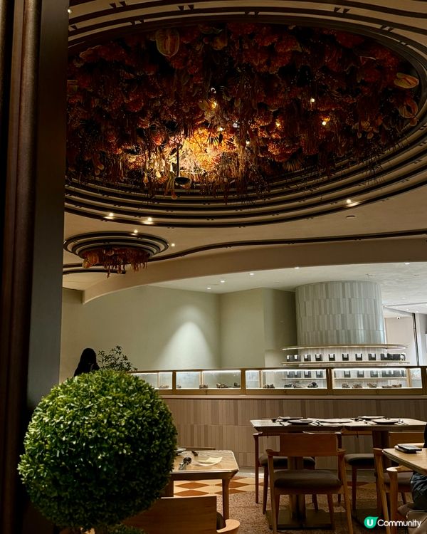 高樓底木化石主題餐廳-Parksid@NINA