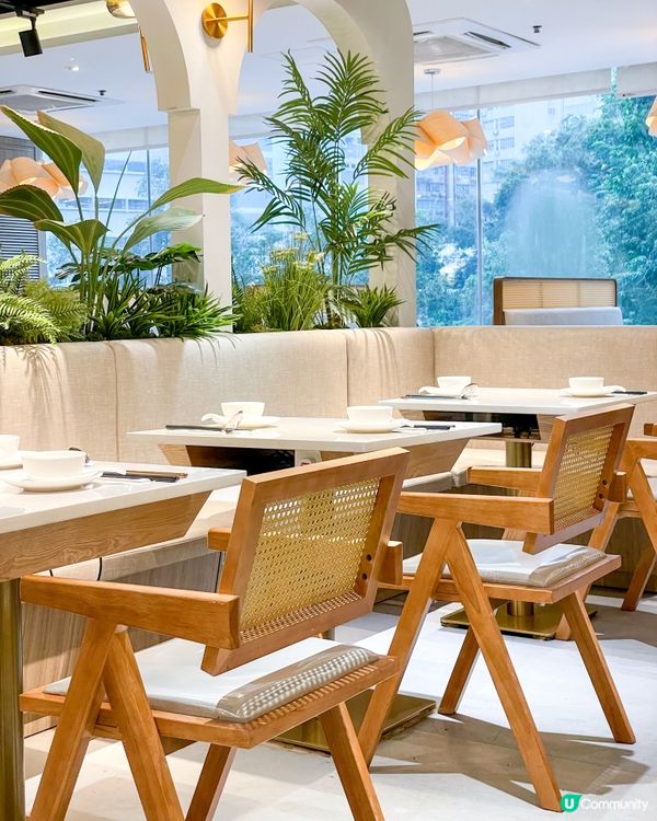 荃灣｜泰式雞煲火鍋放題。泰·初夏