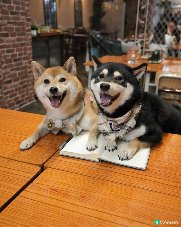 明天就係七夕啦～大家諗好同另一半去邊未💜？